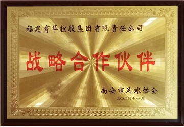 战略合作伙伴