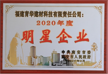 2020年度南安市明星企业